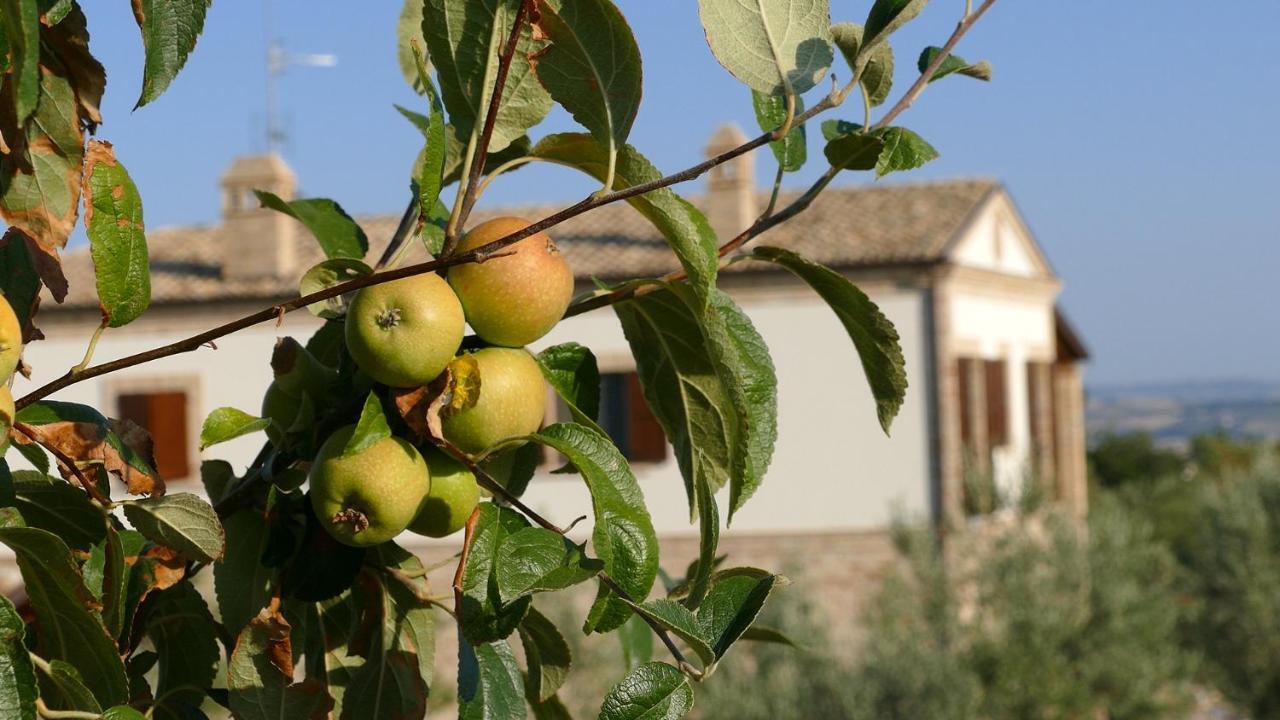 Residence Colle Veroni Mosciano SantʼAngelo Kültér fotó